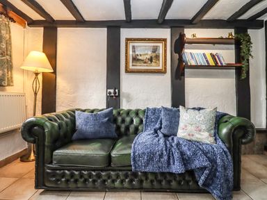 A living room with a green leather sofa blue cushions a blue throw a floor lamp a framed picture and a bookshelf at Runnymede in Tewkesbury
