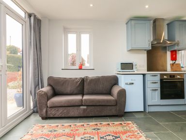A kitchen area with a gray sofa a patterned rug and blue cabinets at Hill Coach House in Watchet