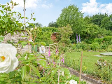 A garden with flowering plants grass and trees near a stone wall and wooden gate at Kavieng Glangrwyney near Gilwern