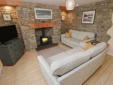 A sitting room with two sofas a wood burning stove and a television at Brynawel in Llangynin near Llanboidy