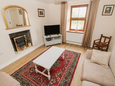 A living room with a fireplace sofa wooden chair white coffee table television on cabinet and window at Brynawel in Llangynin near Llanboidy
