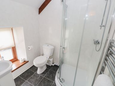 A bathroom with a toilet a shower with glass doors and a window with a blind at Brynawel in Llangynin near Llanboidy