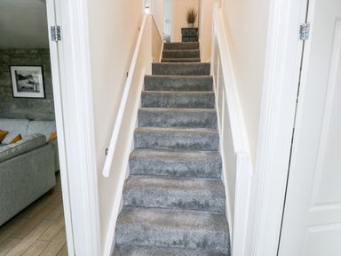 A staircase with gray carpet and white walls with handrails and a small cabinet with a plant at Brynawel in Llangynin near Llanboidy