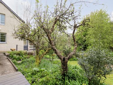 A garden with trees and various plants next to a house outside Myrtle Villa in Knighton