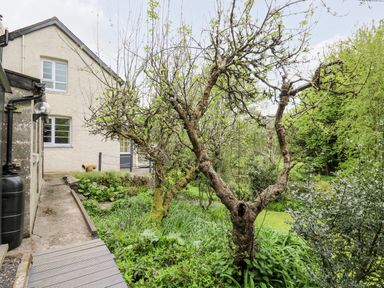A garden with trees next to a house at Myrtle Villa in Knighton