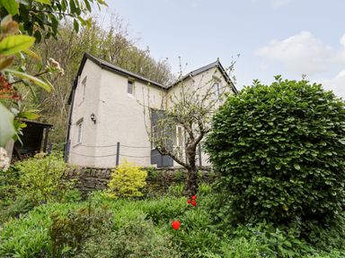 A white house with gray shutters surrounded by a garden with shrubs trees and red flowers at Myrtle Villa in Knighton