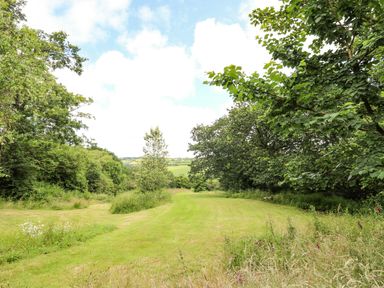 A grassy open area bordered by trees and shrubs with a cloudy sky at Spring Cottage in Pentre-Cwrt