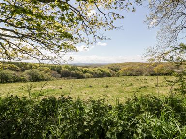A grassy field with trees and hills in the distance under a blue sky at The Granary in Helland near Bodmin