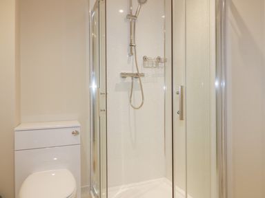 A bathroom with a toilet and a corner shower with glass doors and a handheld showerhead at The Granary in Helland near Bodmin