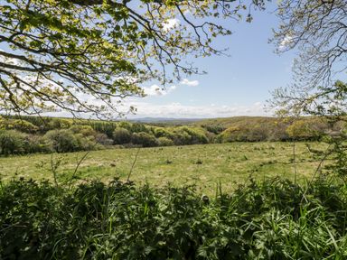 A field with trees and bushes under a blue sky at The Hayloft in Helland near Bodmin