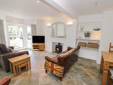 A living room with sofas a wood stove a television wooden tables and shelves at Florence Villas in Worcester