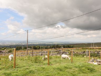 A fenced grassy field with three sheep grazing and stone walls with utility poles in the background at Penrallt Fawr in Rhosgadfan near Waunfawr