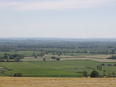A rural landscape with fields and scattered trees at Long Batch Cottage in Ditcheat