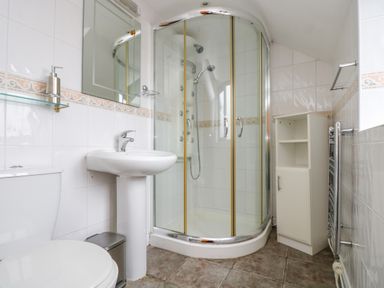 A bathroom with a shower enclosure toilet sink and storage unit at South Boduel Farmhouse in Liskeard