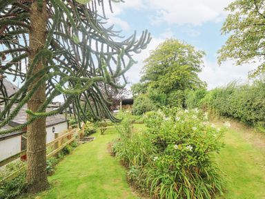 A garden with a large tree and flower bushes along a grassy path at South Boduel Farmhouse in Liskeard