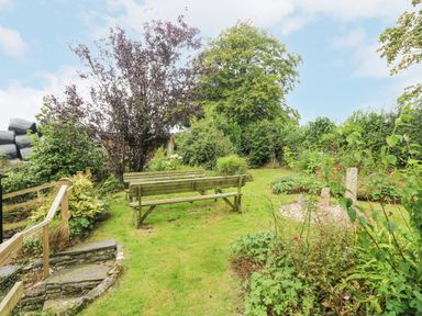 A garden with green grass wooden benches plants and bushes at South Boduel Farmhouse in Liskeard