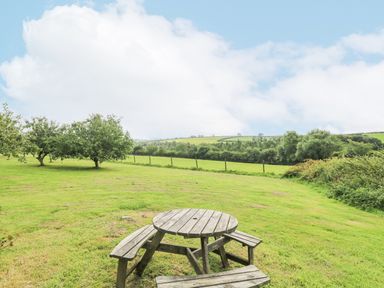 A wooden picnic table with attached benches on grass near trees and fields at South Boduel Farmhouse in Liskeard