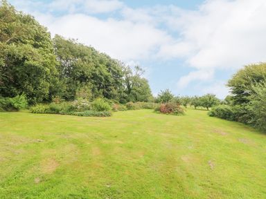 A grassy garden area with bushes and trees under a blue sky at South Boduel Farmhouse in Liskeard