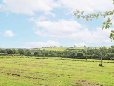 A large grassy field with a few small trees and a fence in the background at South Boduel Farmhouse in Liskeard