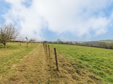 A field with grass and leafless trees separated by a wire fence under a cloudy sky at Keepers Cottage in Liskeard