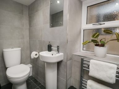 A bathroom with a toilet sink mirror plant on window sill and towel rack at Raybarrow in Windermere