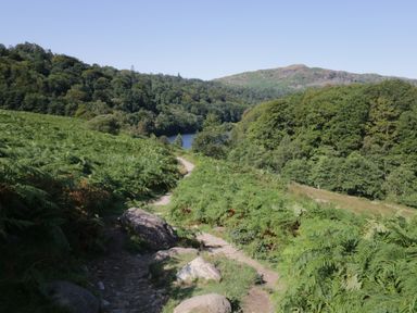 A dirt path with rocks and green bushes leading to a forest and hills with a lake in the distance at Raybarrow in Windermere