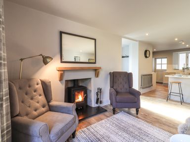 A living room with two armchairs a fireplace with a fire a wall mirror and a floor lamp at Raybarrow in Windermere