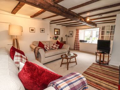 A living room with two sofas red and plaid cushions a wooden coffee table a floor lamp a television on a stand striped rug and exposed wooden ceiling beams at Lavender Cottage in South Zeal