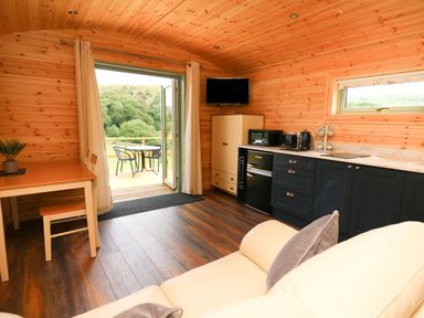 An open kitchen and living area with wooden walls a dining table and chairs and a door opening to a balcony with outdoor furniture at Hwyl Rhayader near Llandrindod Wells