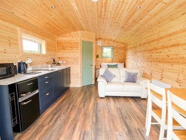 A wooden cabin interior with a kitchen counter sofa bed and dining table at Hwyl in Rhayader near Llandrindod Wells