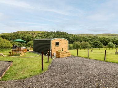 A small wooden cabin with a gravel path and picnic table with umbrella in a green field at Hwyl Rhayader near Llandrindod Wells