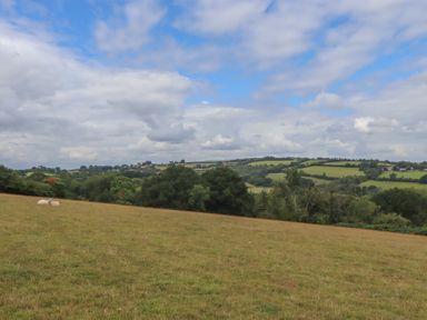 A field with sheep and hills in the background at The Cadeleigh near Tiverton