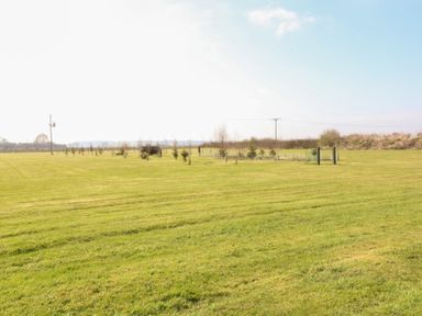A large grassy field with small trees and bushes with a clear sky at Silver Birch Lodge in Misterton