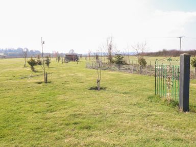 A grassy field with young trees and a green metal gate at Silver Birch Lodge in Misterton
