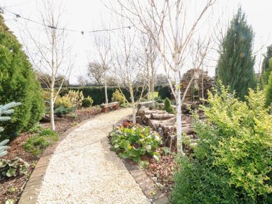 A garden with a gravel path surrounded by trees shrubs and wooden benches at Silver Birch Lodge in Misterton