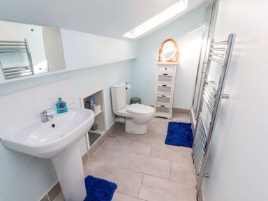 A bathroom with a pedestal sink a toilet a tall white drawer unit a mirror and blue rugs at Neland View in Windermere