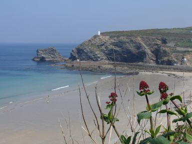 A beach with rocks cliffs and red flowers in the foreground at Byghan Thornton in Illogan