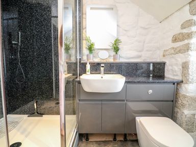 A bathroom with a shower enclosure sink and toilet at Polgear View Polgear Nr Redruth