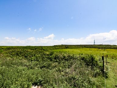A green field with bushes and a fence under a blue sky at Polgear View in Polgear Nr Redruth