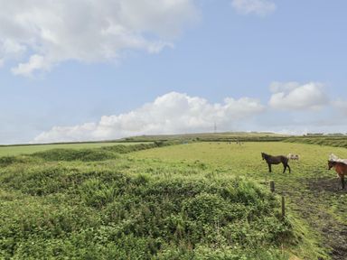 A green field with horses grazing under a blue sky at Polgear View in Polgear Nr Redruth