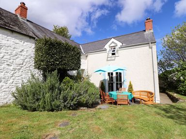 A garden with outdoor seating under a blue umbrella next to a white house at Tyddyn Bach Newport Pembrokeshire