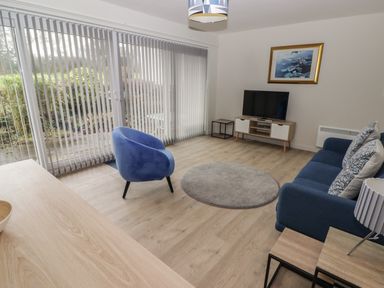 A living room with a blue armchair blue sofa with cushions a round rug and a television at 21 Coedrath Park in Saundersfoot