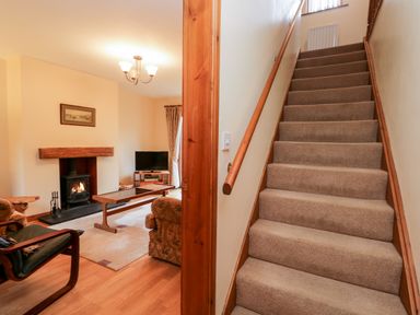 A carpeted staircase next to a living room with a wood burning stove and television at Friars Fold in Newby Bridge