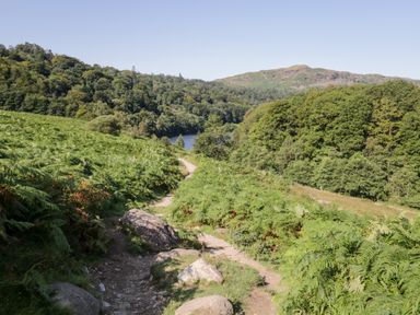 A dirt trail with rocks surrounded by green bushes and trees with hills in the background at Friars Fold in Newby Bridge