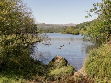A lake with ducks swimming and trees on the banks at Friars Fold in Newby Bridge