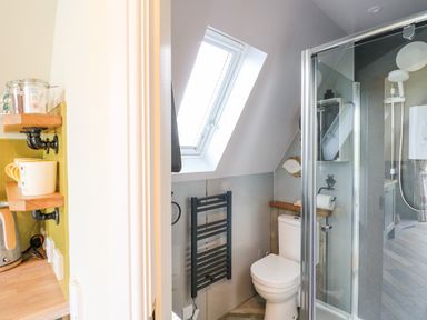 A bathroom with a toilet shower enclosure skylight and towel radiator at Buttercup Lodge in Misterton