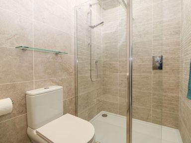 A bathroom with a toilet and a glass-enclosed shower at Yr Hen Feudy in Moelfre