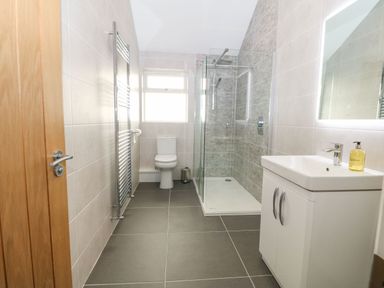 A bathroom with a shower enclosure toilet sink and heated towel rail at Yr Hen Feudy in Moelfre