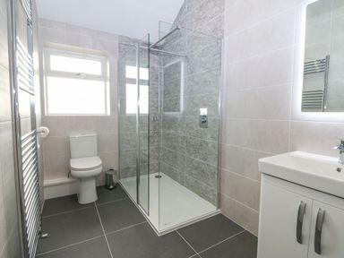 A bathroom with a shower enclosure, toilet, sink with cabinet, and a towel radiator at Yr Hen Feudy in Moelfre