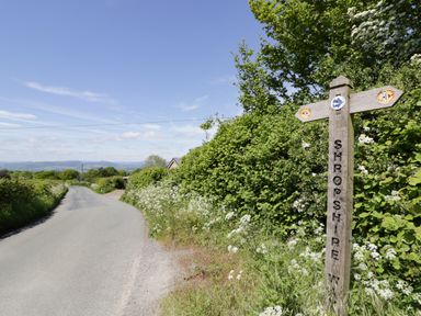 A country road with hedges and a wooden signpost with directions in Shropshire